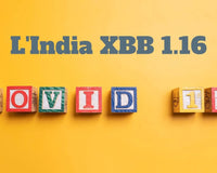 xbb 1.16